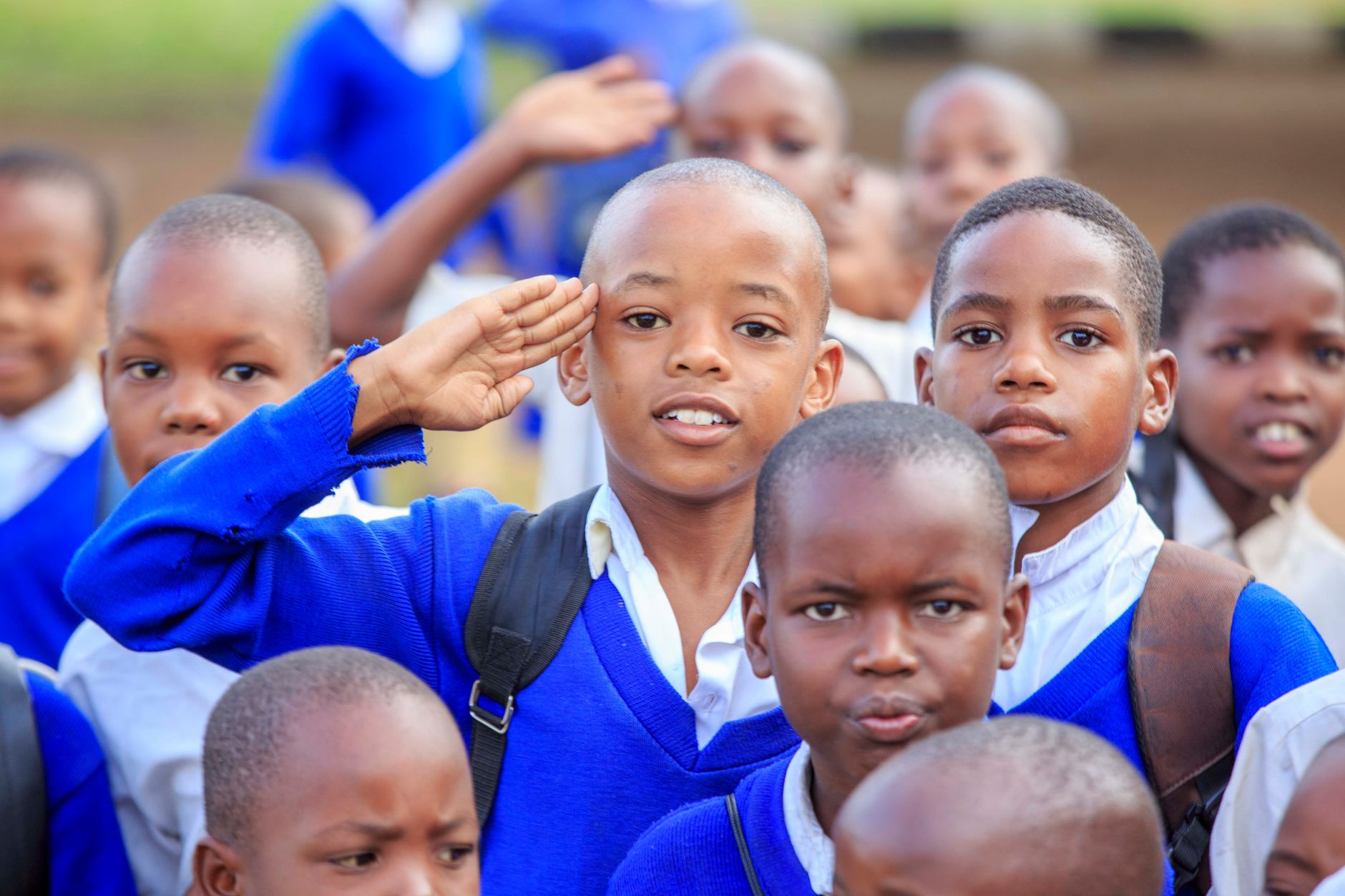 Primary School at NOVATECH
