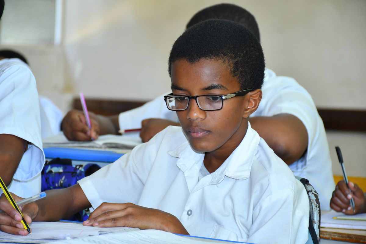 Secondary students — capstone project